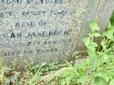 image of grave number 719668